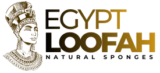 Egypt Loofah - Egyptian Natural Luffa Sponges Wholesale Supplier - EGEXO