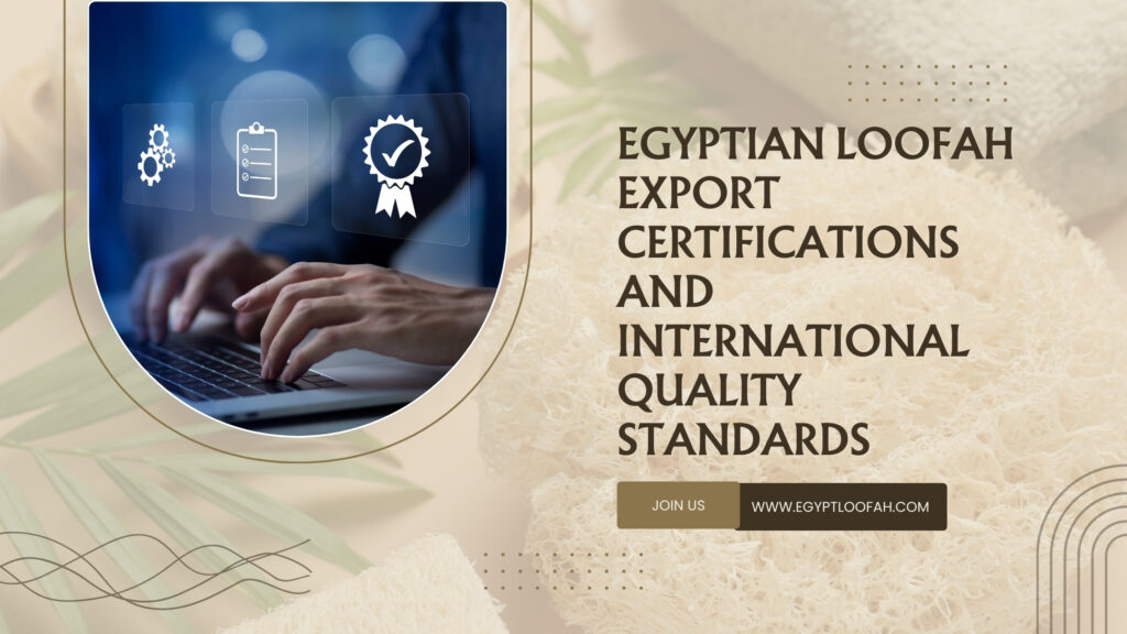 Egyptian Loofah Export Certification | Quality Standards 2026 | Egyptloofah