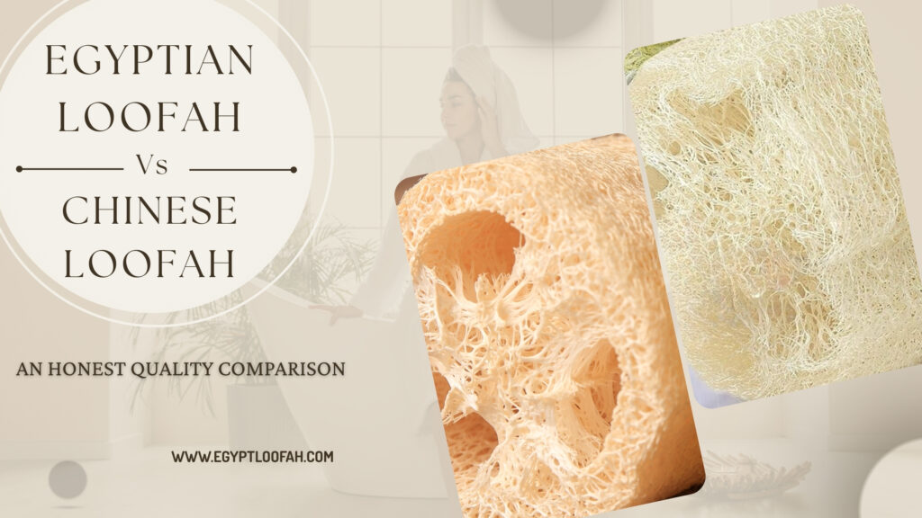 Egyptian Loofah vs Chinese Loofah Quality Comparison 2026 Egyptloofah
