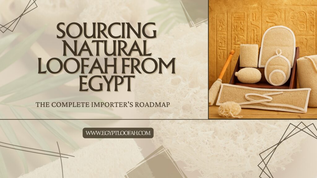 Source Loofah from Egypt Guide | Complete 2026 Importer Roadmap