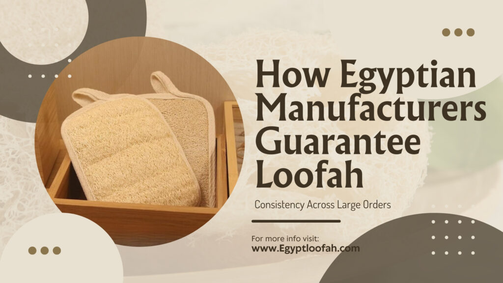 Egyptian Loofah Quality Control Manufacturing Egyptloofah