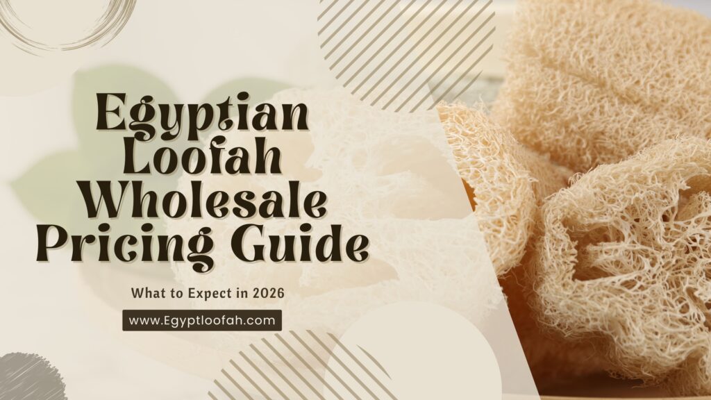Egyptian Loofah Wholesale Price 2026 Guide Egyptloofah