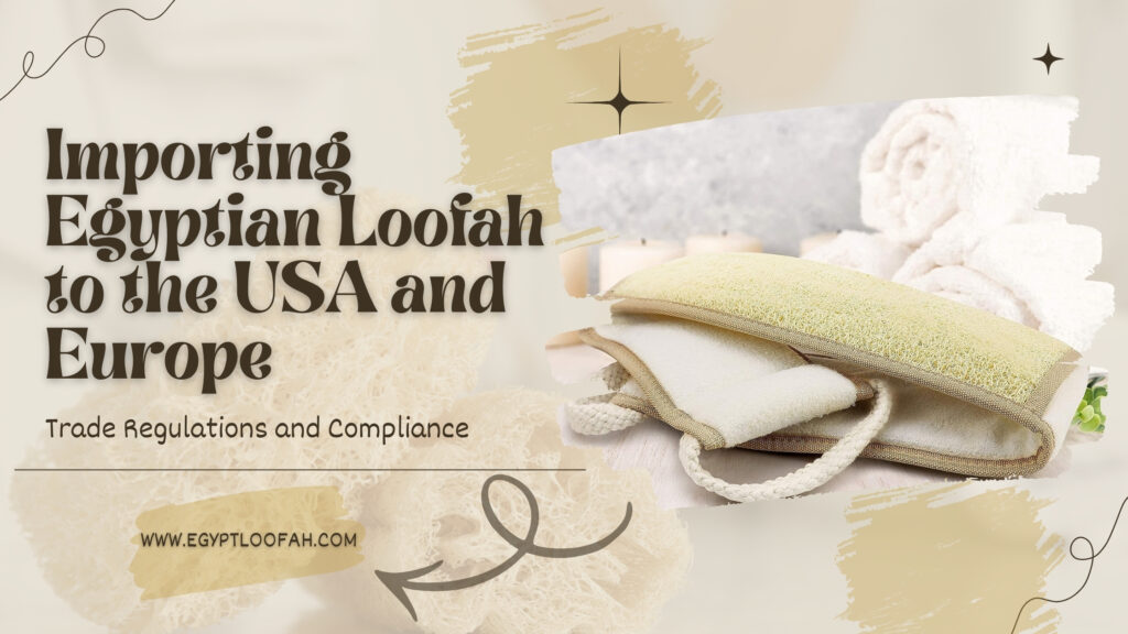 Import Egyptian Loofah USA Europe Trade Guide 2026 Egyptloofah