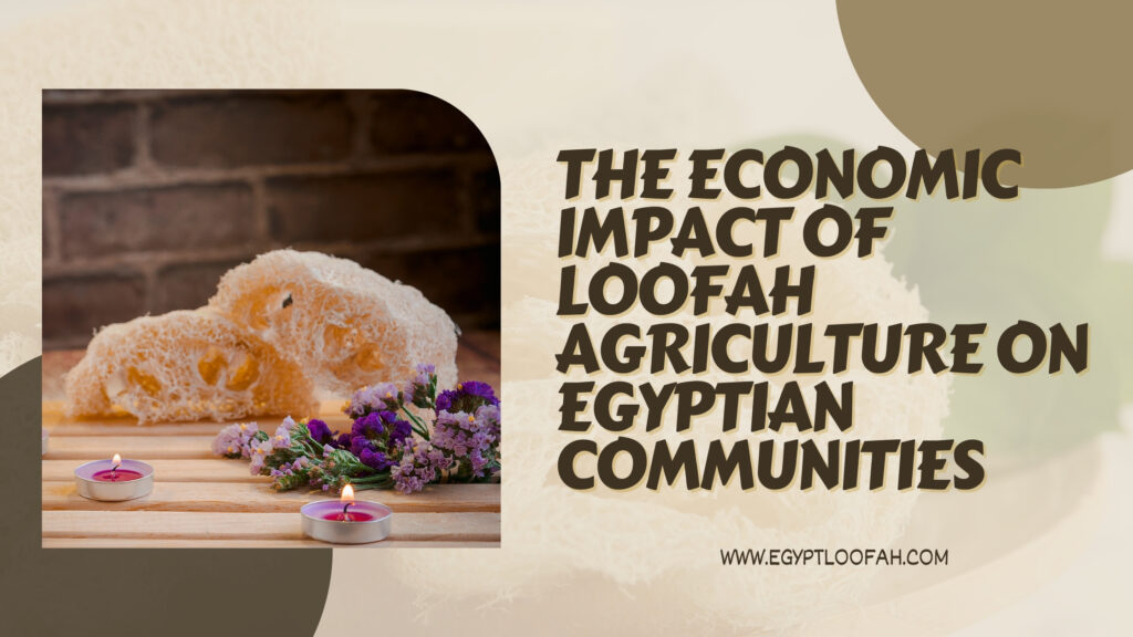 Loofah Farming Egypt Economy Community Impact 2026 Egyptloofah