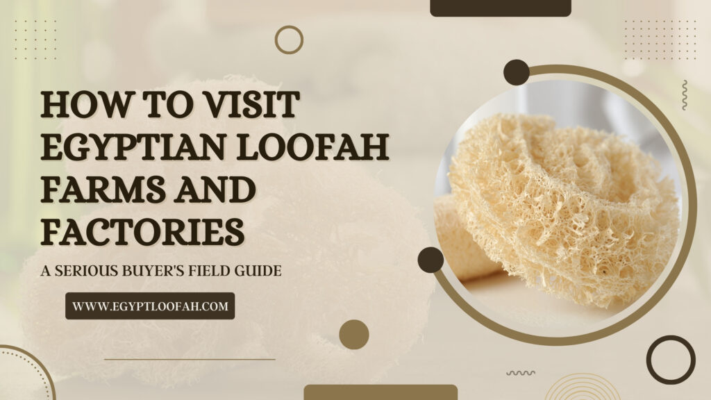 Visit Egyptian Loofah Factory Buyer Field Guide 2026 Egyptloofah